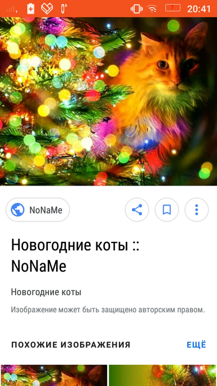 Коты Воители Новый Год Фанфики