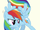 RainbowDash11