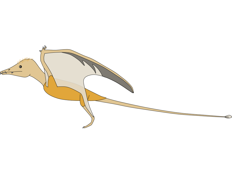 Eudimorphodon Fandom