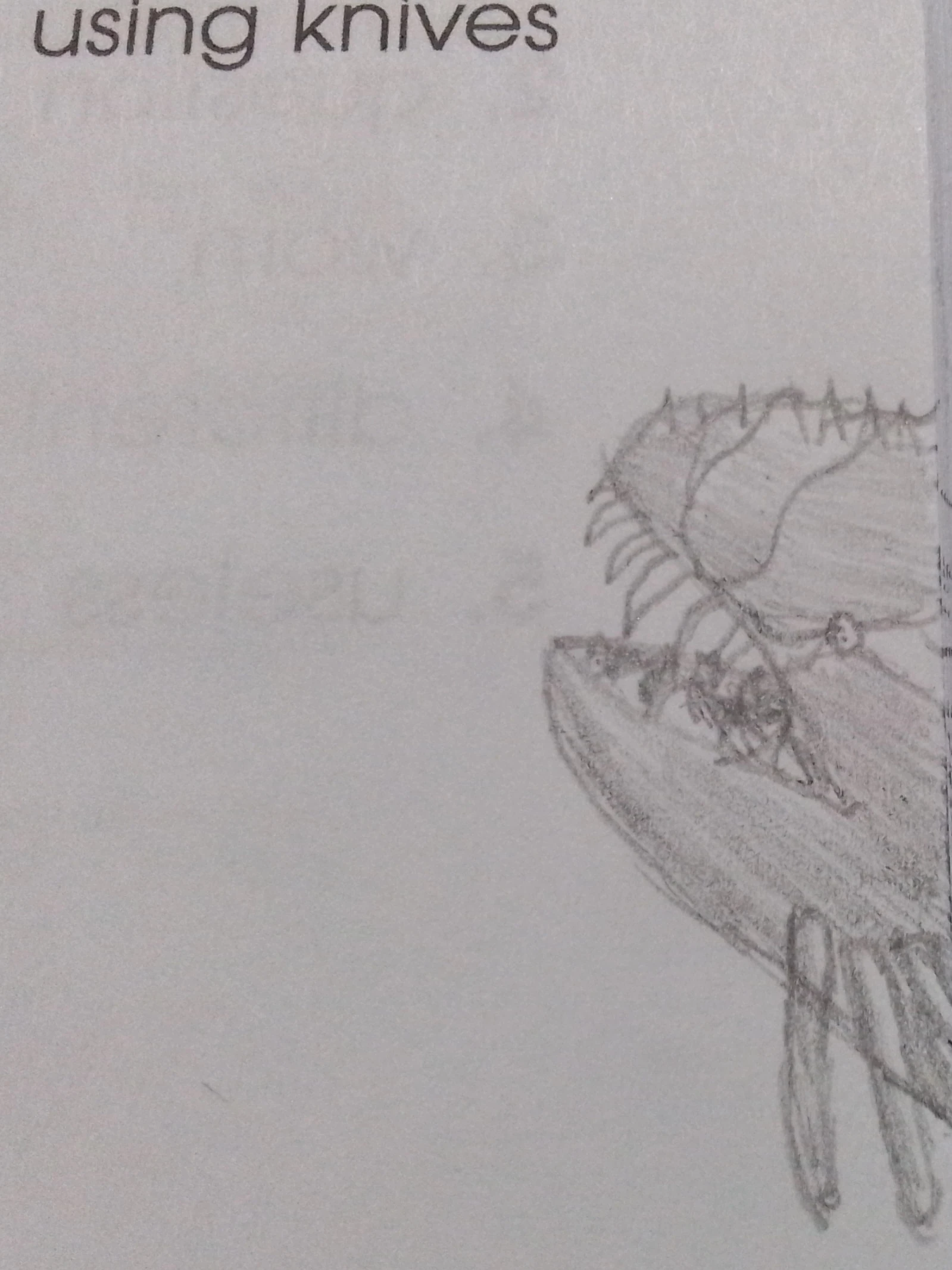 Orca doodle off memory | Fandom