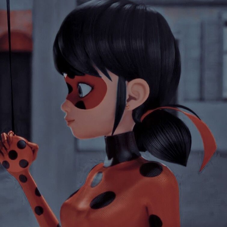 Miraculous ladybug - Matching Profile pictures | Fandom