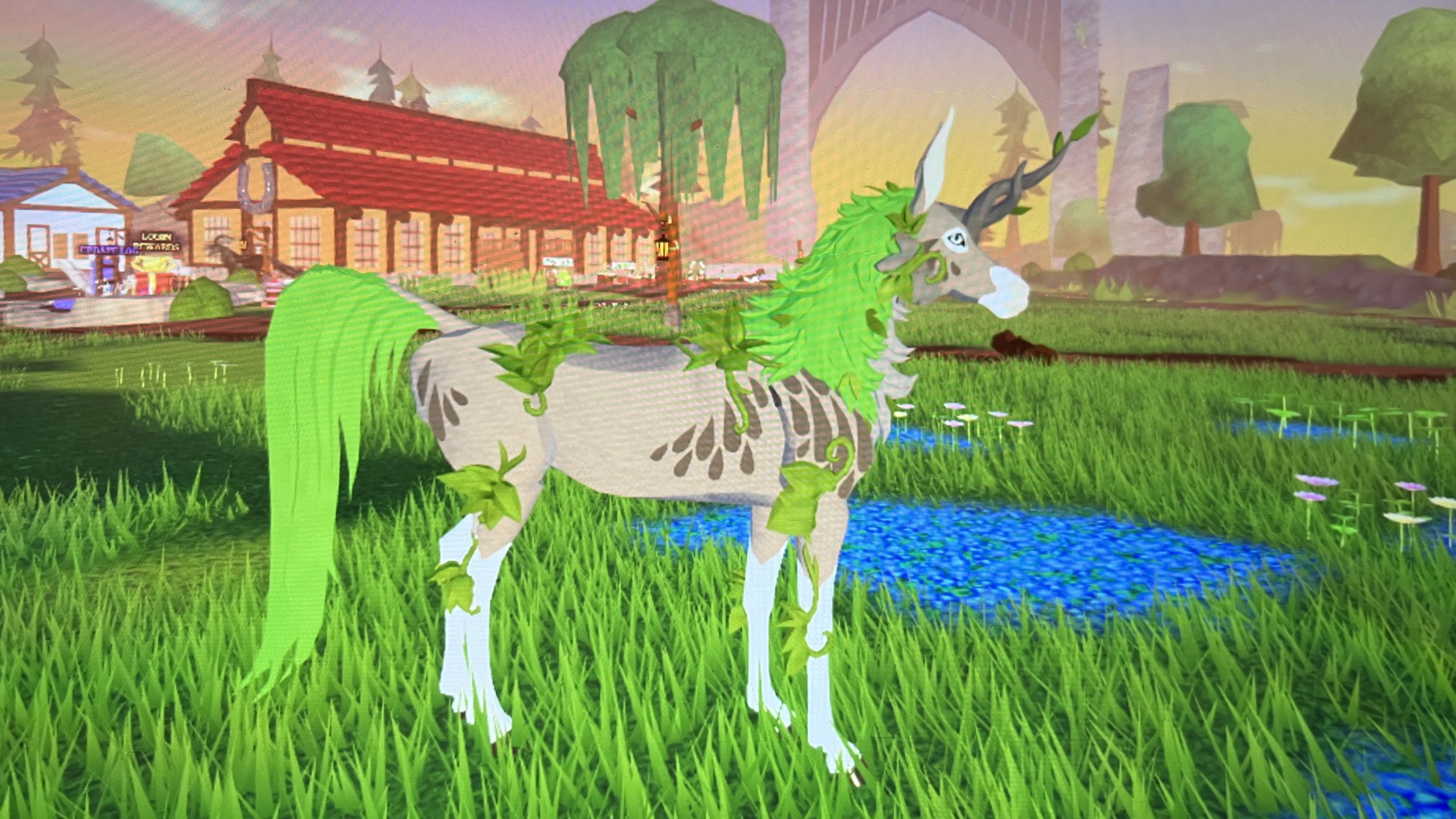 SELLING FLORAS (and a pretty fae) | Fandom