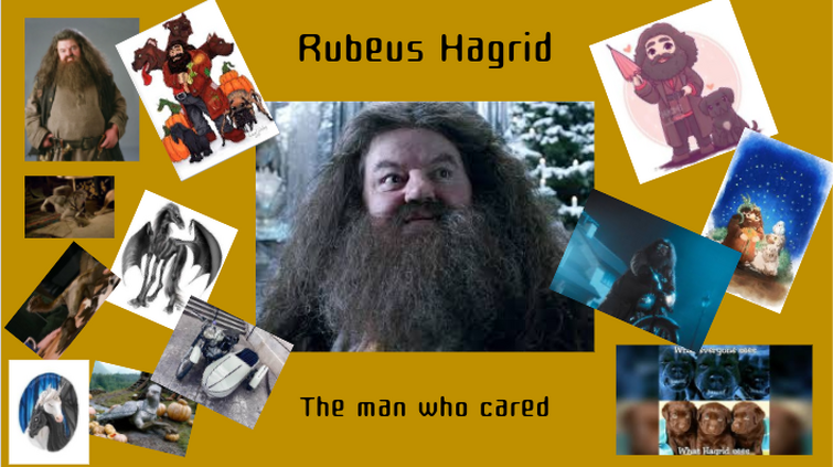 Fandom Image