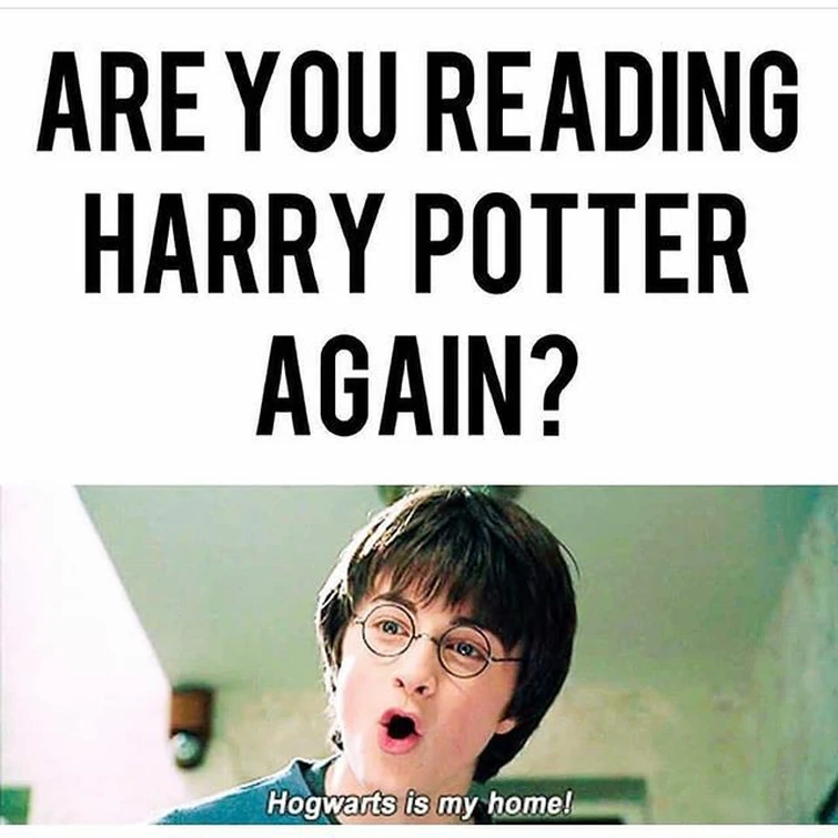 Hogwarts Is My Home!