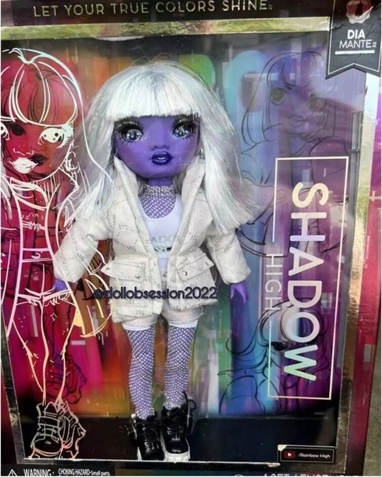 What We Know About Shadow High Series 2 Fandom