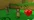 FeaturesIcon