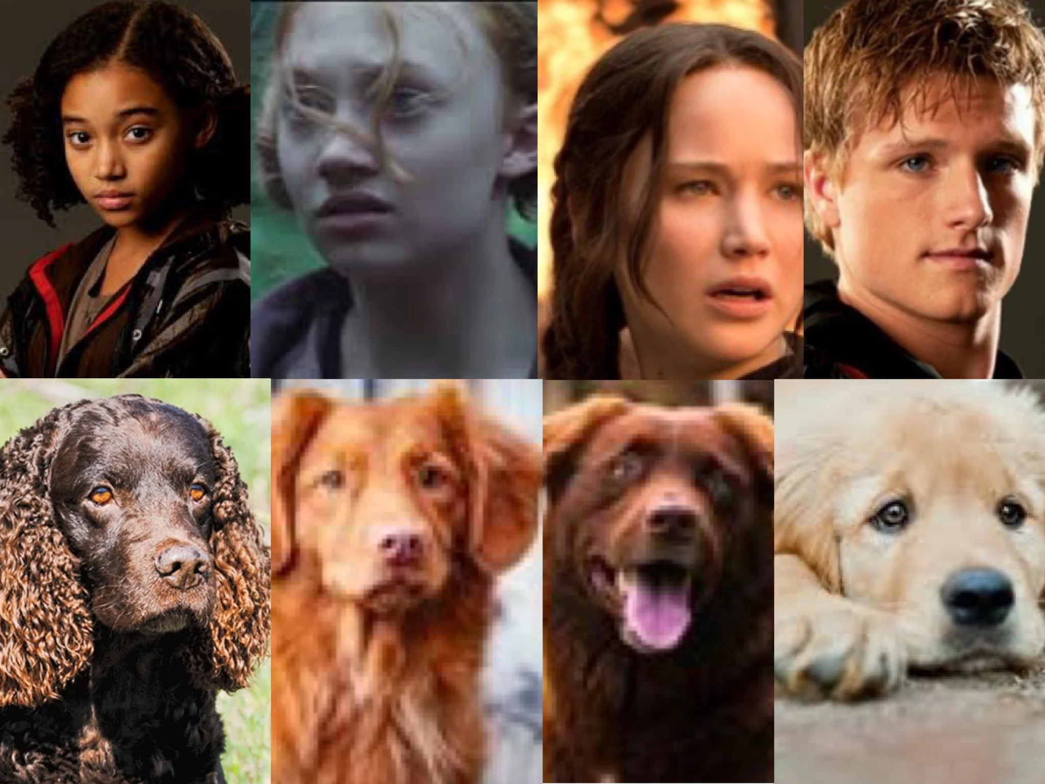 hunger games characters as animals PT 1 Dog Edition. Fandom