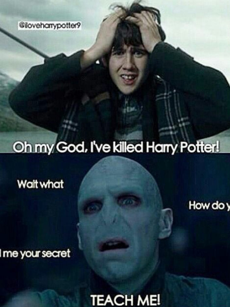 Draco Malfoy Memes  Harry Potter Amino