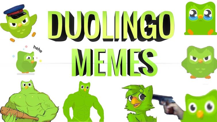Duolingo memes | Fandom