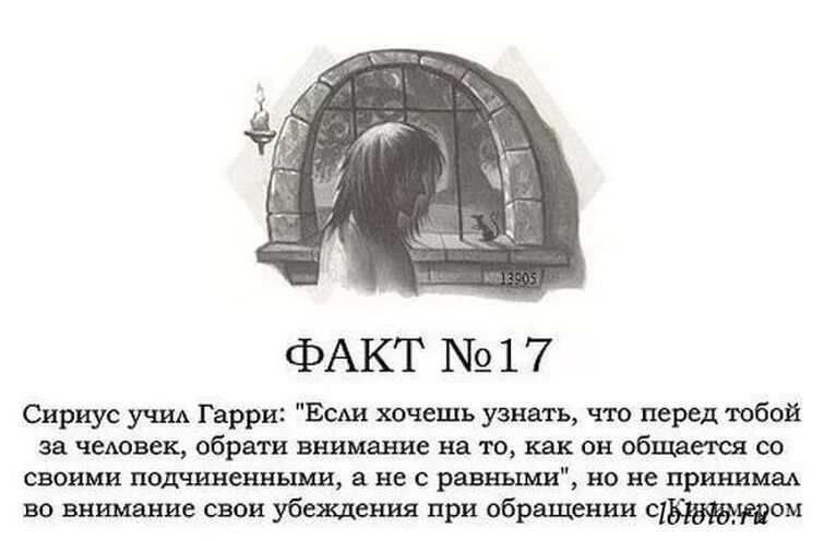 Поттер факты. Факты о Гарри Поттер факт 100. Интересные факты по Гарри Поттеру. 14 Фактов о Гарри Поттере. Гарри Поттер интересные факты.