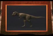 Tyrannosaurus standind pose