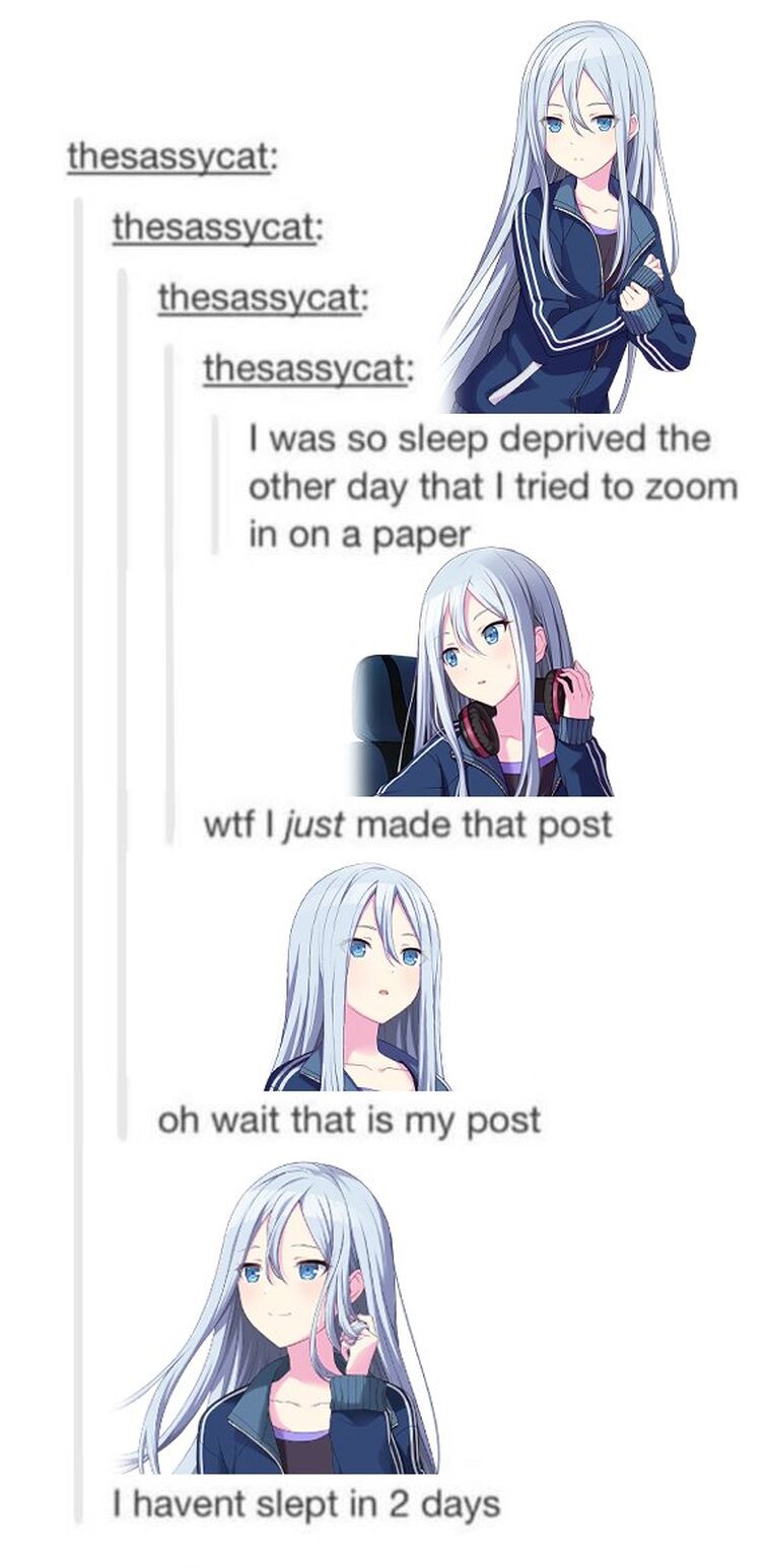 anime meme  The Fandom Post