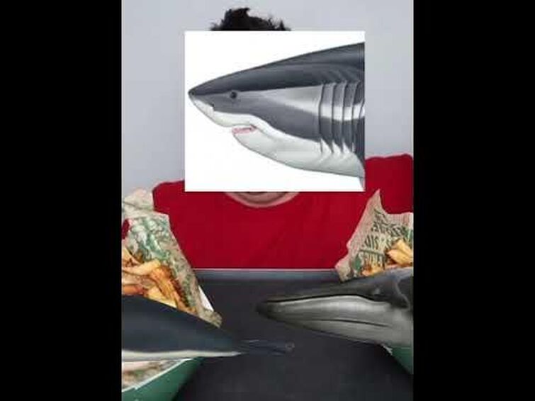 Megalodon extinction in a nutshell