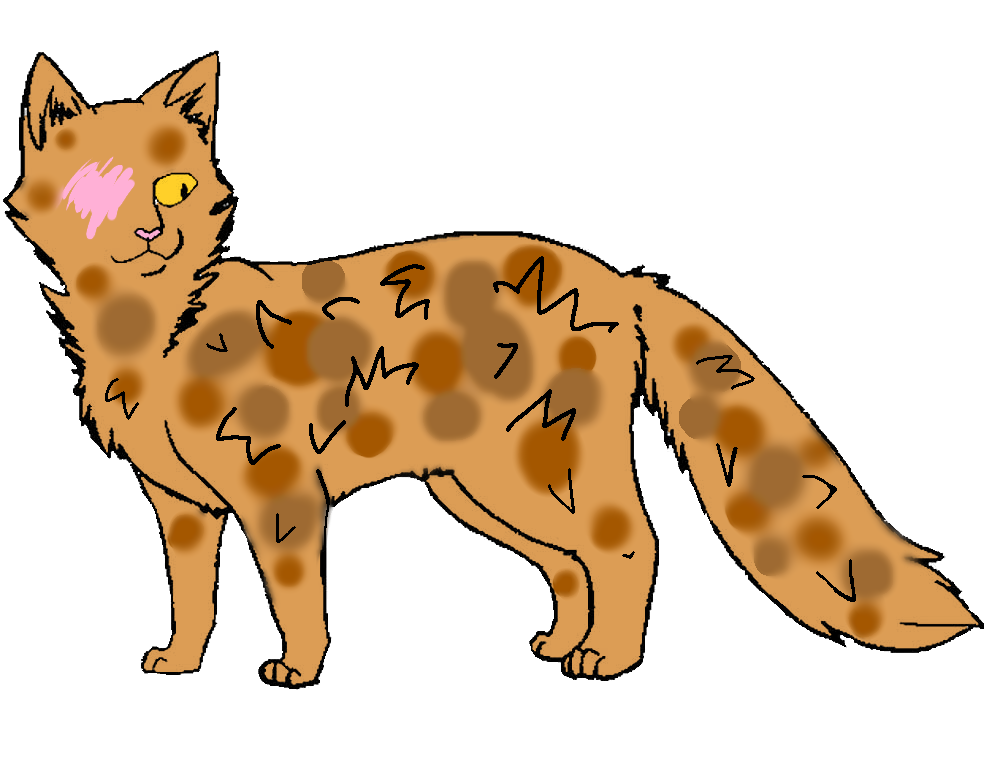 Коты воители пятнистая звезда картинки