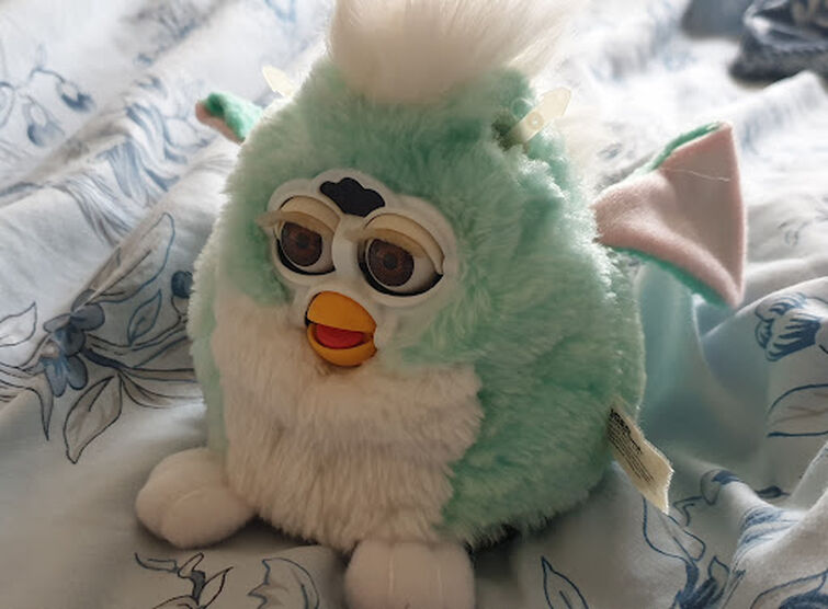 Fandom Image