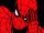SpiderNerd2013