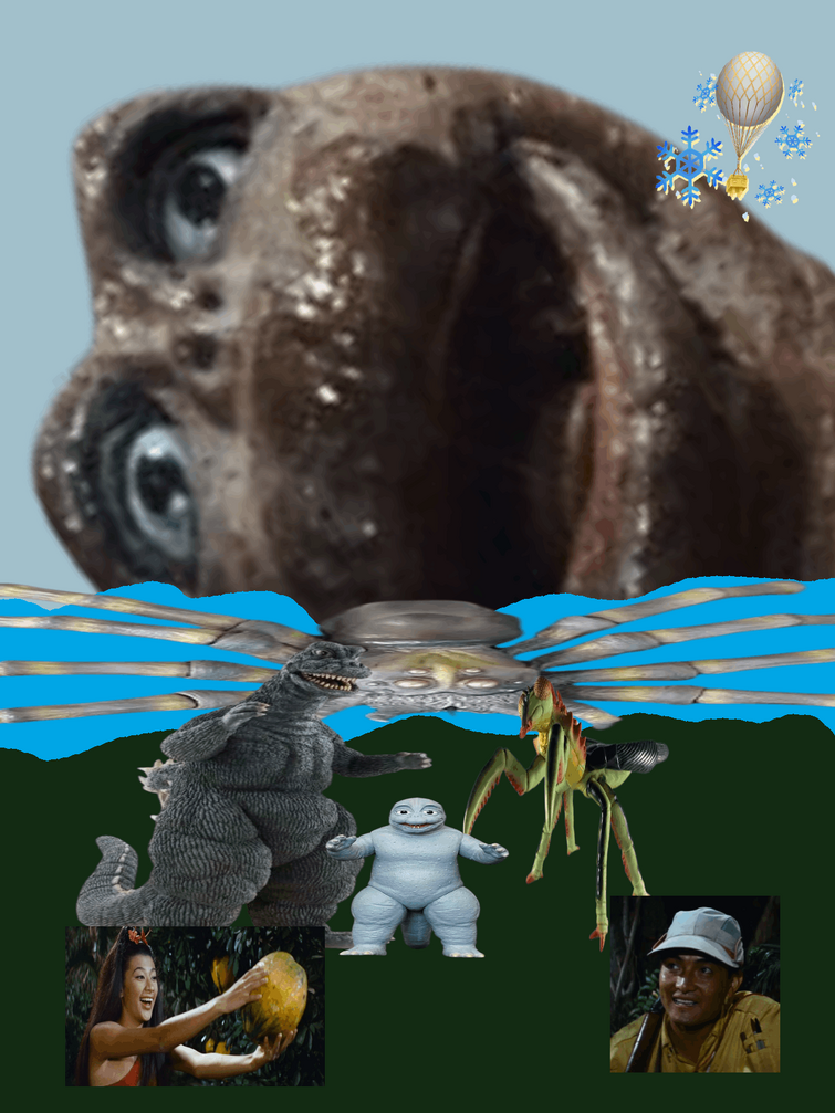 Fandom Image