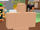 Robloxian757
