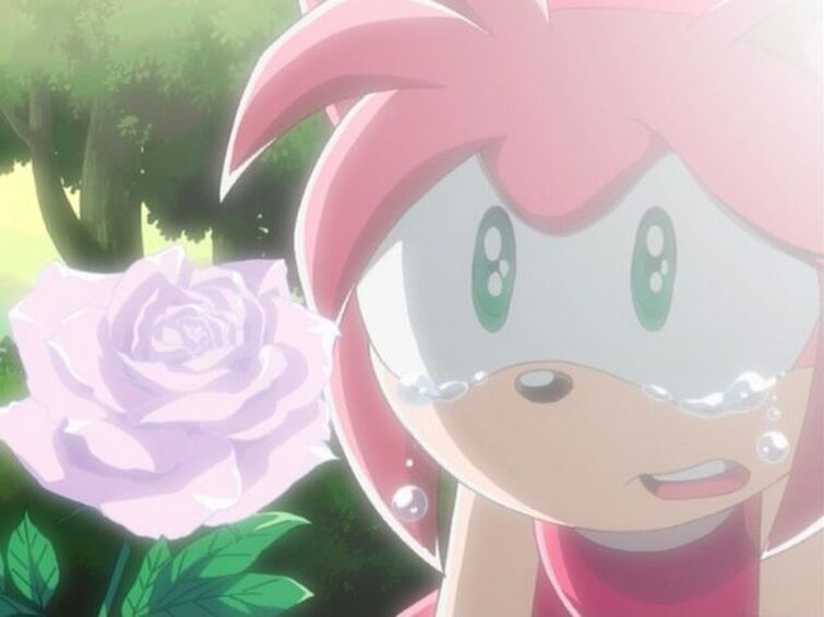 When I See That Sweet But Sad Sonamy Moment In Sonic X Fandom