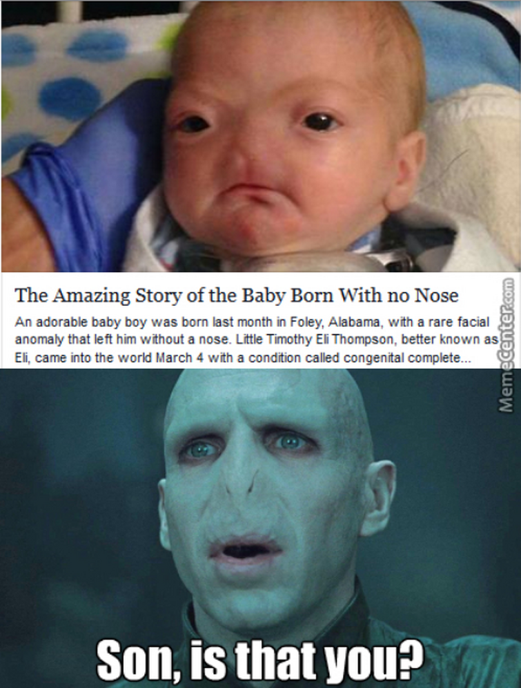Harry Potter memes and jokes - Voldemort  Harry isn't dead - Wattpad