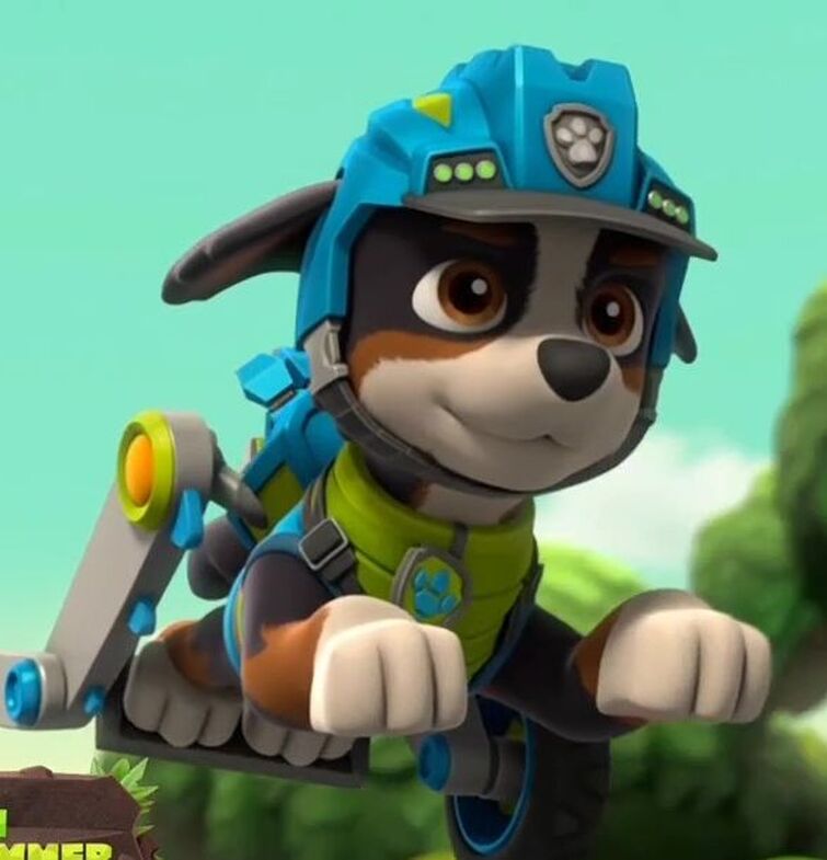 Paw Patrol Дино патруль