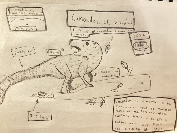 Fandom Image