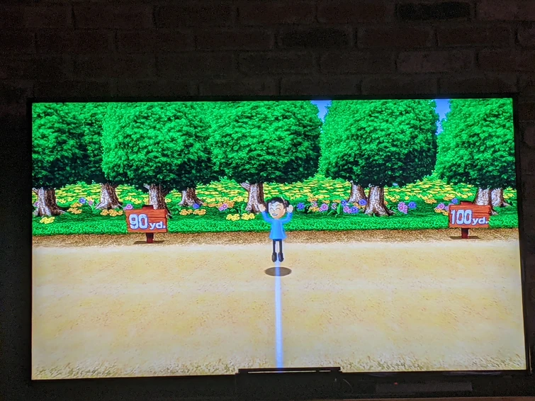 Discuss Everything About Wii Sports Wiki Fandom