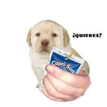 370