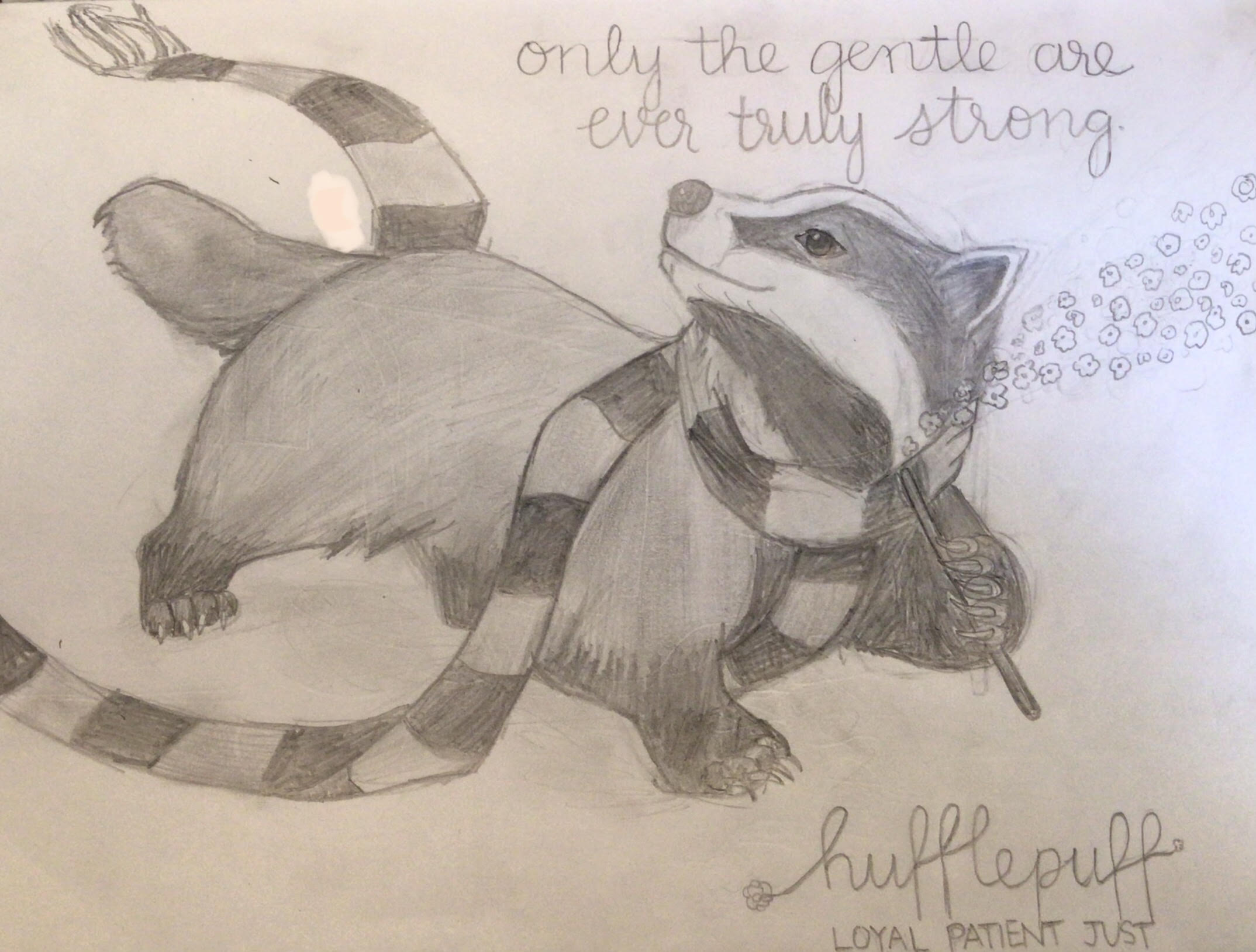 Hufflepuff Badger art | Fandom
