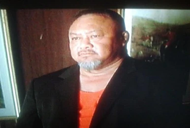 Professor Toru Tanaka | 3 ninjas Wiki | Fandom
