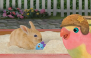 3rd & Bird Rabbit