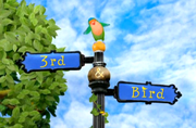 3rd & Bird Sign