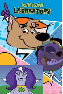 Scrappy's lab.jpg