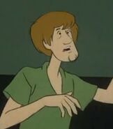 Shaggy Rogers in The New Scooby Doo Movies