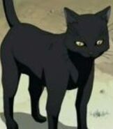 Yoruichi Shihoin (Cat Form)
