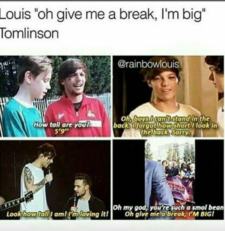 Louis Tomlinson By scarlettbullivant  Louis tomlinson, One direction  memes, Louis tomlinsom