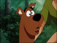 Scooby-doo-zombie-island-disneyscreencaps.com-2560