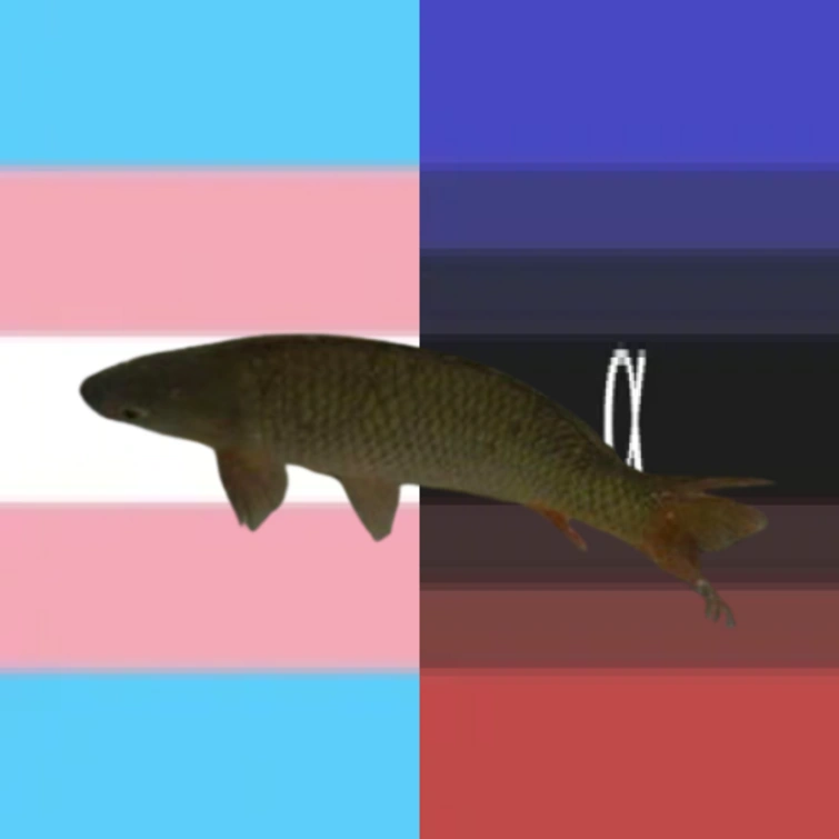 Theexpertlesbiannerd