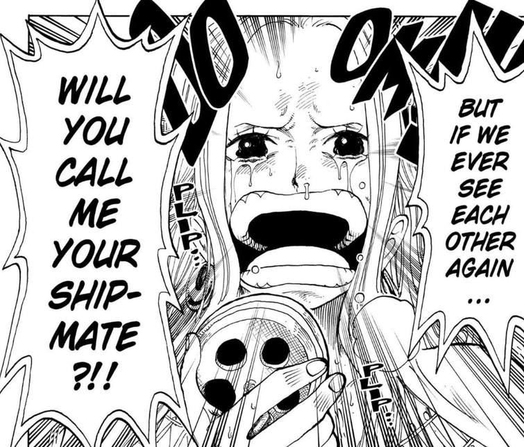 Is Vivi a Straw Hat or nah? Fandom