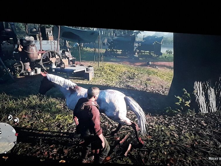 If I put my horse anywhere near camp they kill me. But kieren can shove his horse up my ass...