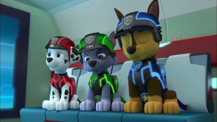 PAW Patrol Seat Belt Clips: The Ultimate Updated List (2013–Present!)