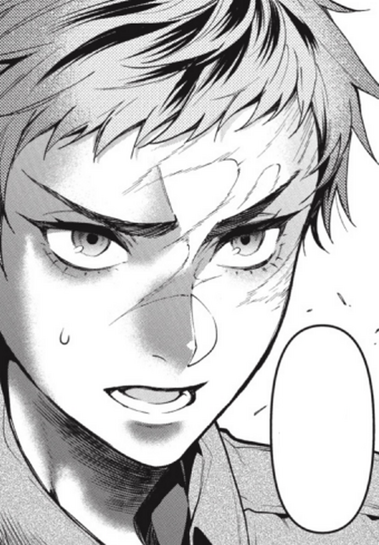 Fandom Image