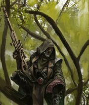 Explorador Eldar Bosque .jpeg