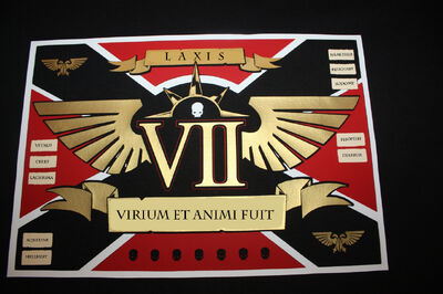 VII Laxis