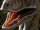 Velociraptor145