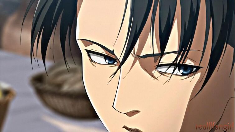 Introducir 44+ imagen what color are levi’s eyes