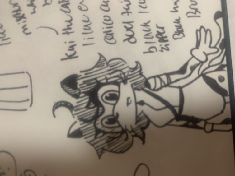 Fandom Image