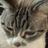 Didizaldo's avatar