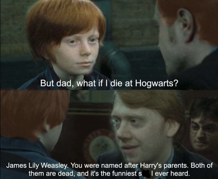 Favorite Harry Potter meme : r/harrypotter