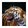Tigerfan45